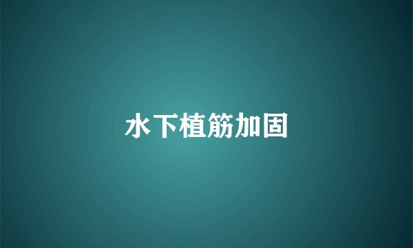 水下植筋加固