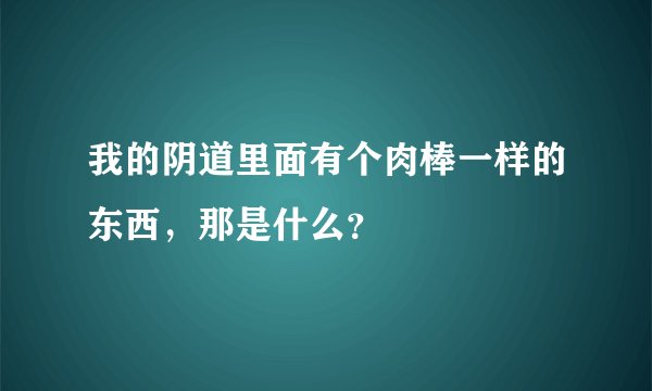 我的阴道里面有个肉棒一样的东西，那是什么？