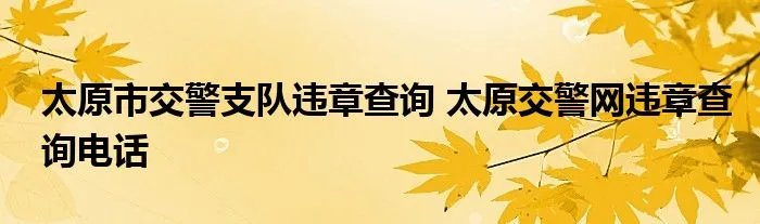 太原市交警支队违章查询 太原交警网违章查询电话