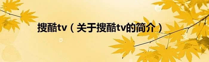搜酷tv（关于搜酷tv的简介）