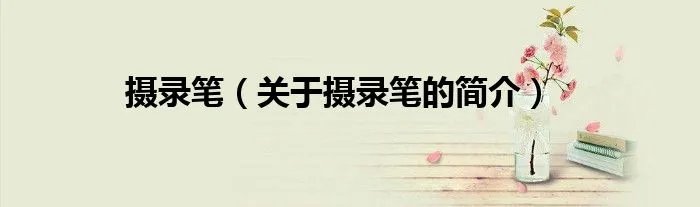 摄录笔（关于摄录笔的简介）