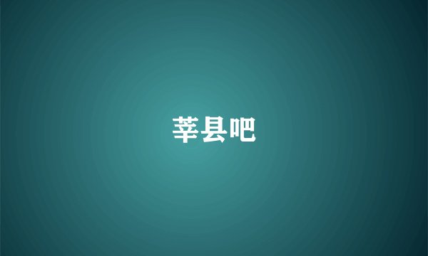 莘县吧