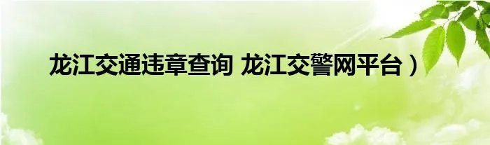 龙江交通违章查询 龙江交警网平台）