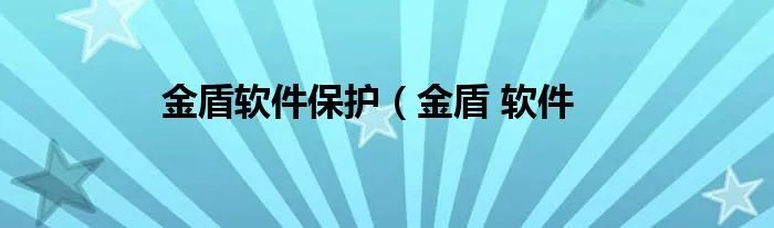 金盾软件保护（金盾 软件