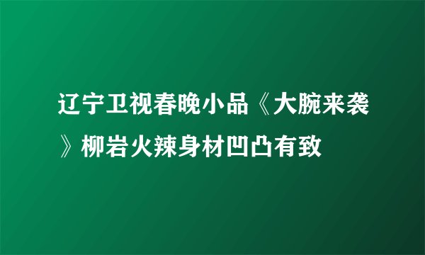 辽宁卫视春晚小品《大腕来袭》柳岩火辣身材凹凸有致