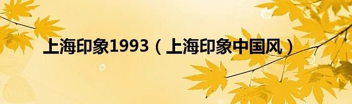 上海印象1993（上海印象中国风）