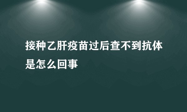接种乙肝疫苗过后查不到抗体是怎么回事