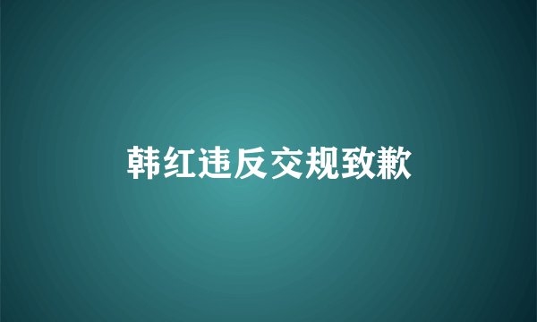 韩红违反交规致歉