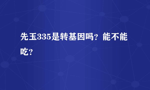 先玉335是转基因吗?能不能吃?