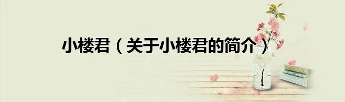 小楼君（关于小楼君的简介）