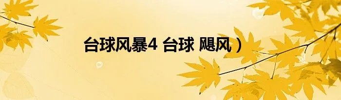 台球风暴4 台球 飓风）