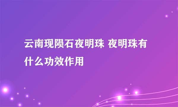 云南现陨石夜明珠 夜明珠有什么功效作用