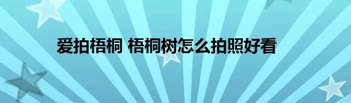 爱拍梧桐 梧桐树怎么拍照好看