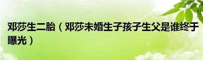 邓莎生二胎（邓莎未婚生子孩子生父是谁终于曝光）