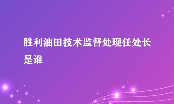 胜利油田技术监督处现任处长是谁