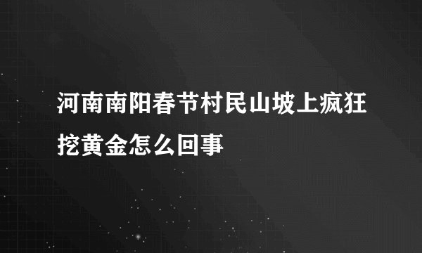 河南南阳春节村民山坡上疯狂挖黄金怎么回事
