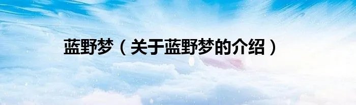 蓝野梦（关于蓝野梦的介绍）