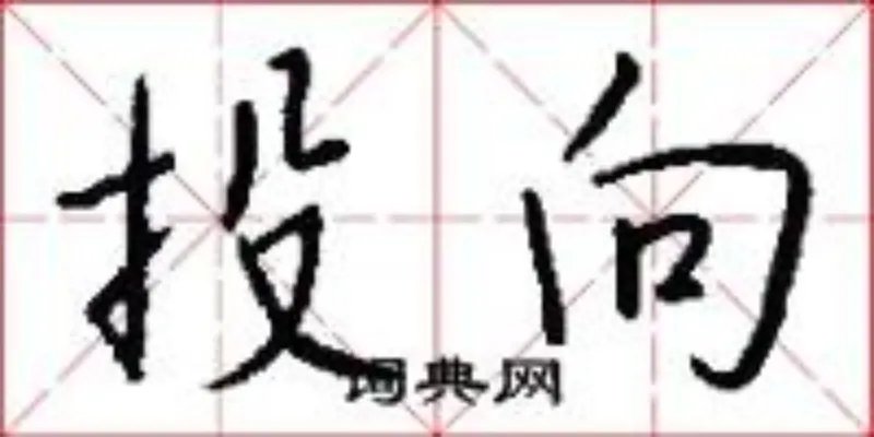 投向