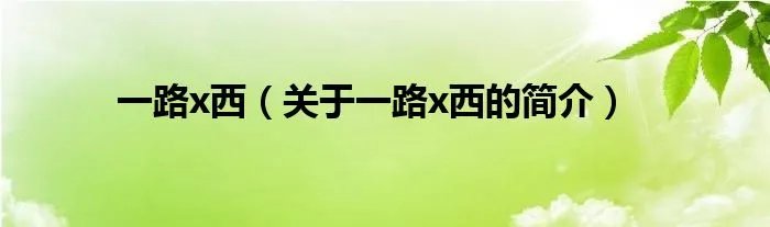 一路x西（关于一路x西的简介）