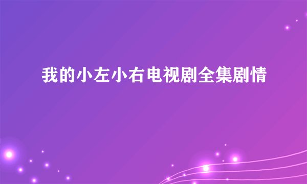 我的小左小右电视剧全集剧情