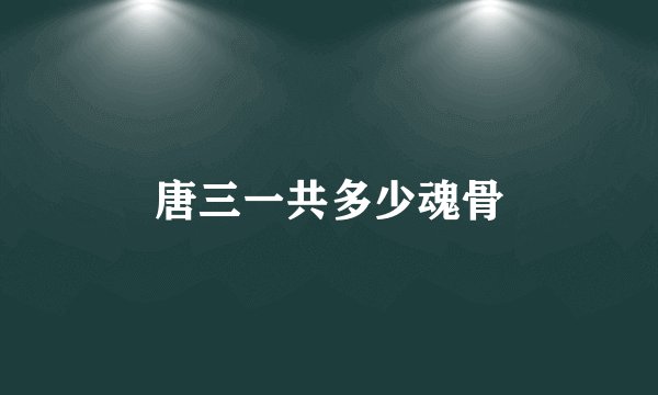 唐三一共多少魂骨