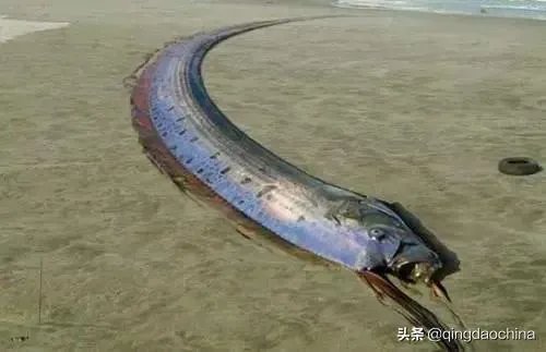山东济南4.1级地震怎么办,这是什么影响的,后期还会有吗?