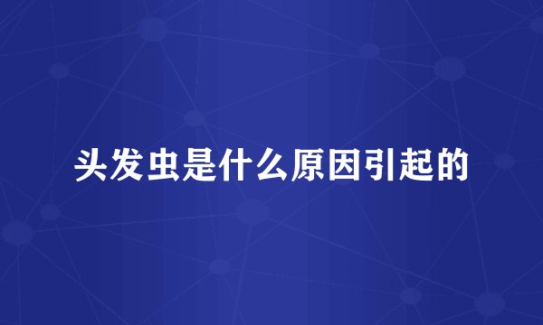 头发虫是什么原因引起的
