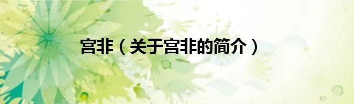 宫非（关于宫非的简介）