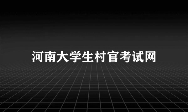 河南大学生村官考试网