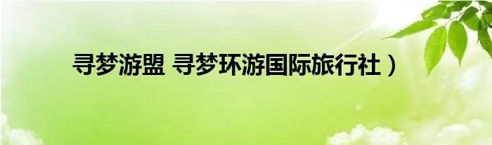 寻梦游盟 寻梦环游国际旅行社）