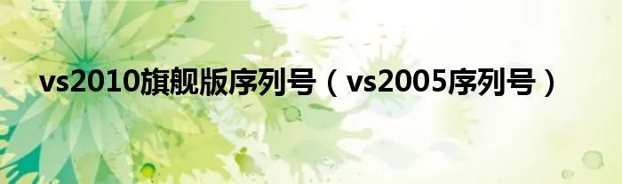 vs2010旗舰版序列号（vs2005序列号）