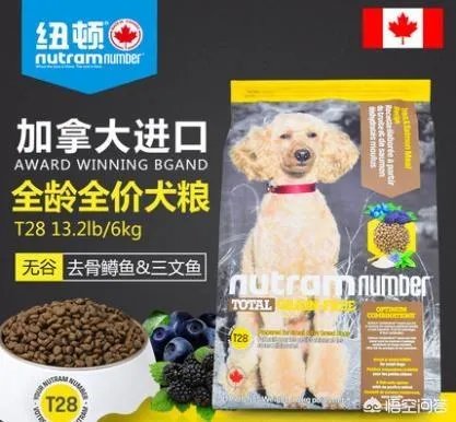 哈士奇吃什么狗粮好？