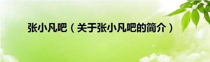 张小凡吧（关于张小凡吧的简介）