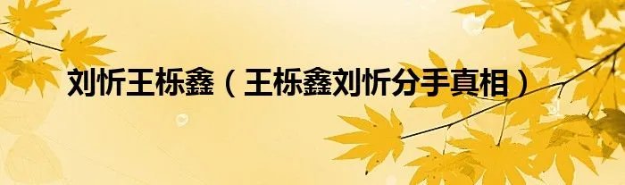 刘忻王栎鑫（王栎鑫刘忻分手真相）