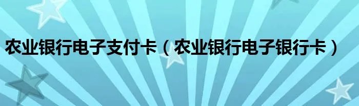 农业银行电子支付卡(农业银行电子银行卡)