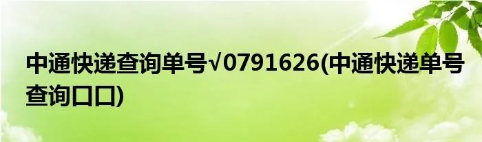 中通快递查询单号√0791626(中通快递单号查询口口)