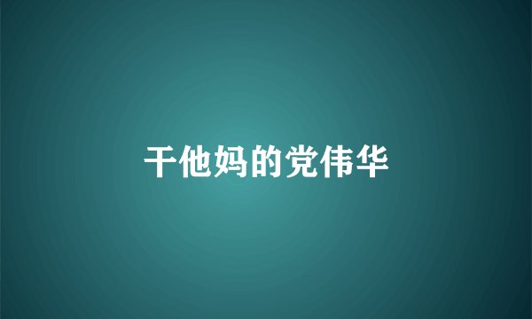 干他妈的党伟华