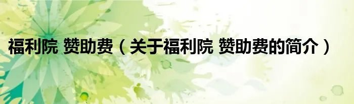 福利院 赞助费（关于福利院 赞助费的简介）