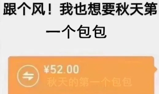 秋天的第一个包包是什么梗