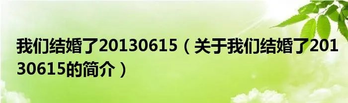 我们结婚了20130615（关于我们结婚了20130615的简介）