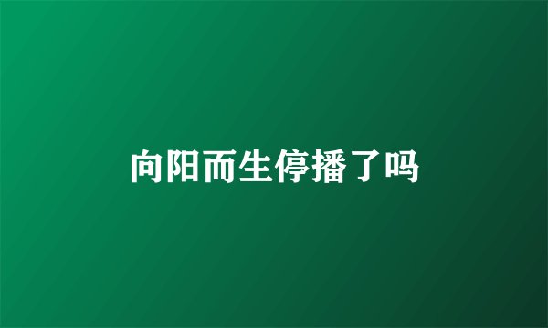 向阳而生停播了吗