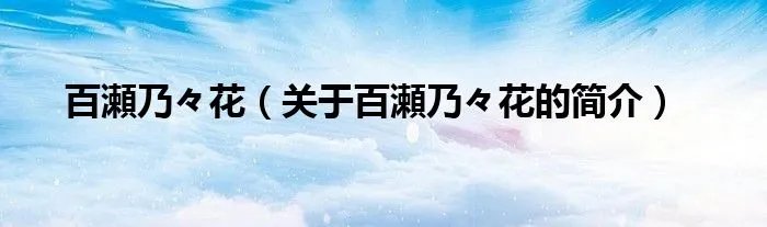 百瀬乃々花(关于百瀬乃々花的简介)
