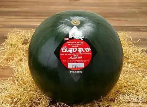 世界最贵食物:吃一嘴倾家荡产（图）
