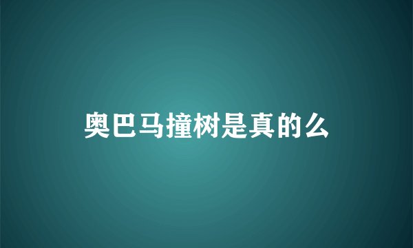 奥巴马撞树是真的么