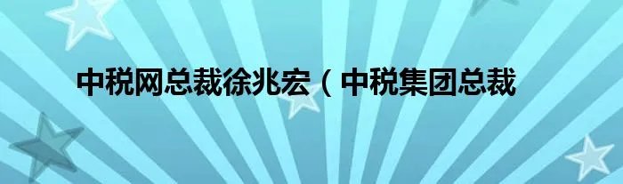 中税网总裁徐兆宏（中税集团总裁