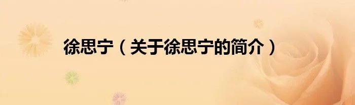 徐思宁（关于徐思宁的简介）