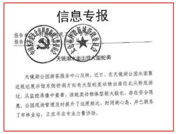 太仓天镜湖大蛇是真是假