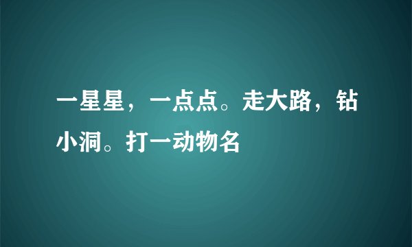 一星星，一点点。走大路，钻小洞。打一动物名
