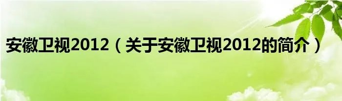 安徽卫视2012（关于安徽卫视2012的简介）