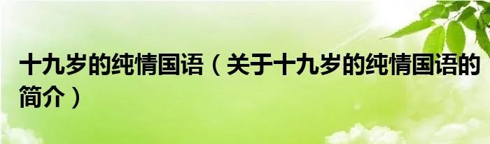 十九岁的纯情国语（关于十九岁的纯情国语的简介）